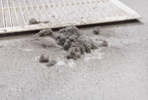Best Air Duct Cleaning Cost  in Beach Park, IL