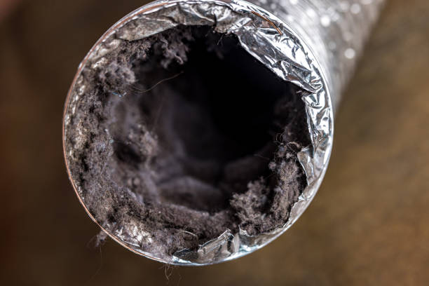 Best Best Air Duct Cleaning Company  in Beach Park, IL