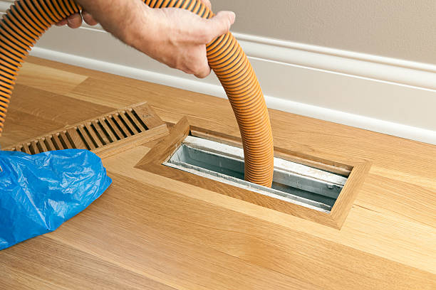 Best Professional Duct Cleaning Services  in Beach Park, IL